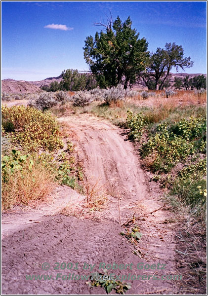 Trail 37 through Timber Creek, MT Trail 37 through Timber Creek, MT