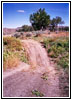 Trail 37 through Timber Creek, MT Trail 37 through Timber Creek, MT
