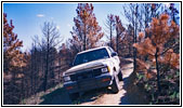 88 S10 Blazer on Trail 37, MT 88 S10 Blazer on Trail 37, MT