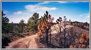 Trail 37, MT Trail 37, MT