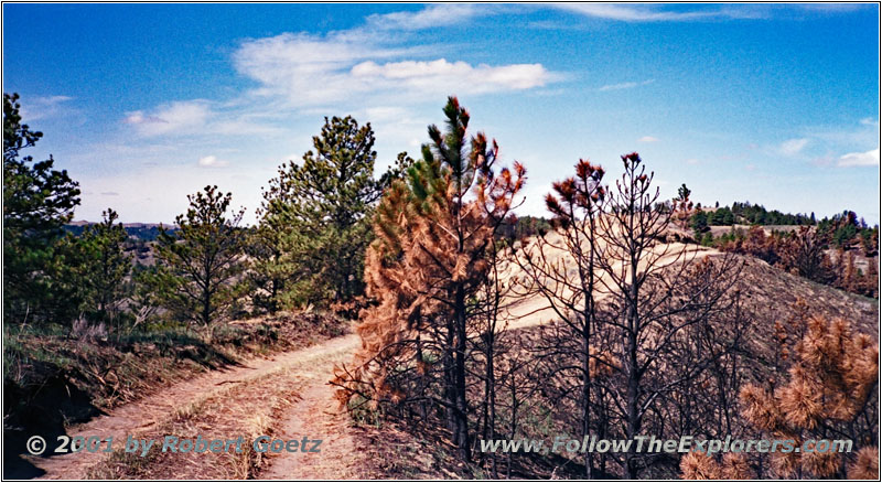 Trail 37, MT Trail 37, MT