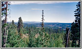 NF-21, Oregon