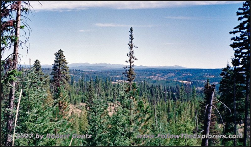 NF-21, Oregon