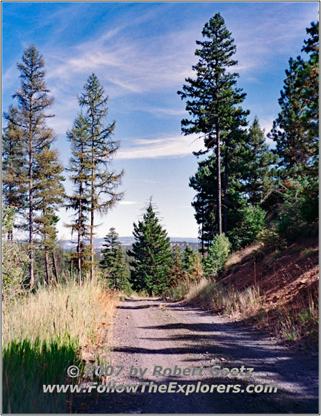 NF-21, Oregon