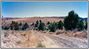 Dry Creek Cutoff Rd, OR