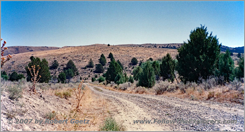 Dry Creek Cutoff Rd, OR