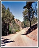 Alder Creek Rd, OR Alder Creek Rd, OR