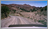 Plano Rd, OR Plano Rd, OR