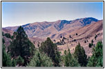 Plano Rd, OR Plano Rd, OR