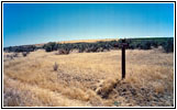 Oregon Trail Ruts, Milner Dam, ID