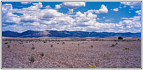 Bailey Creek, Idaho