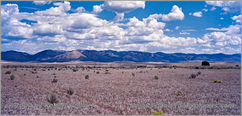 Bailey Creek, Idaho