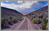 Backroad, Big Hills, ID