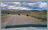 Wood Canyon Rd, Idaho