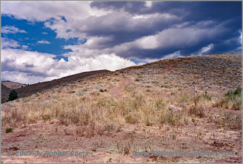 NF-834, Idaho