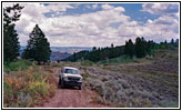 88 S10 Blazer, NF-834, ID 88 S10 Blazer, NF-834, ID