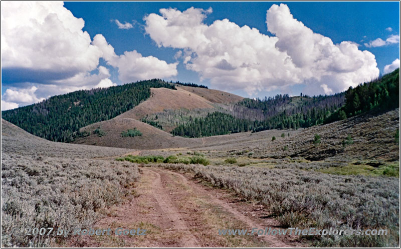 NF-221, Idaho