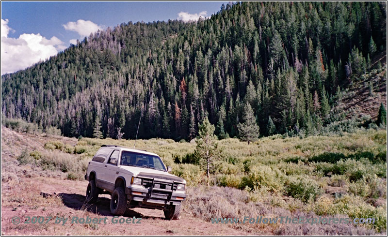 88 S10 Blazer, NF-221, Spring Creek, Idaho