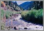 Upper Swift Creek Trail, Swift Creek, ID