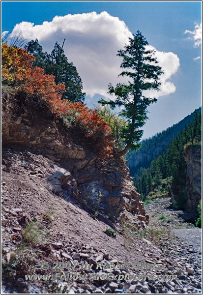 Upper Swift Creek Trail, Idaho