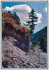 Upper Swift Creek Trail, Idaho