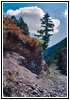 Upper Swift Creek Trail, ID Upper Swift Creek Trail, ID