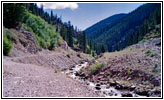 Upper Swift Creek Trail, Swift Creek, ID