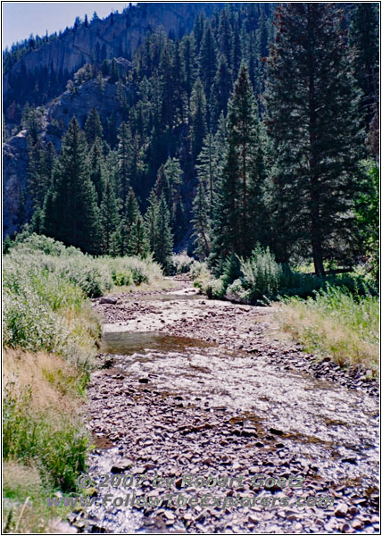 Upper Swift Creek Trail, Swift Creek, Idaho