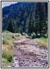 Upper Swift Creek Trail, Swift Creek, Idaho