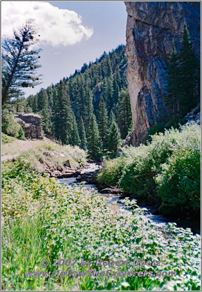 Upper Swift Creek Trail, Swift Creek, ID