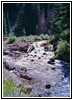 Upper Swift Creek Trail, Swift Creek, Idaho