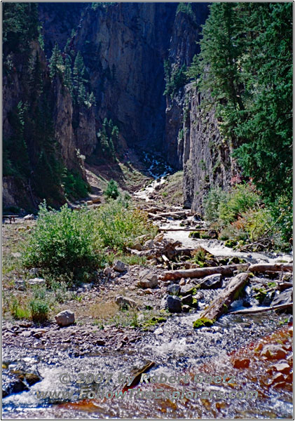 Upper Swift Creek Trail, Periodic Spring, ID
