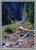 Upper Swift Creek Trail, Periodic Spring, ID