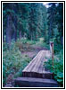 Slide Lake Trail, ID Slide Lake Trail, ID