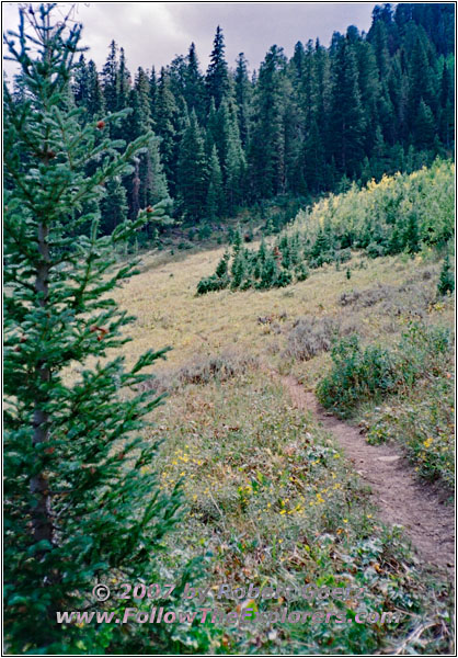 Slide Lake Trail, ID Slide Lake Trail, ID