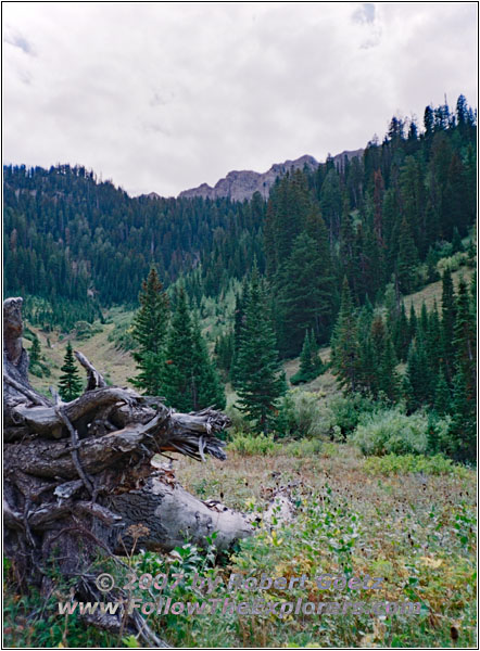 Slide Lake Trail, ID Slide Lake Trail, ID