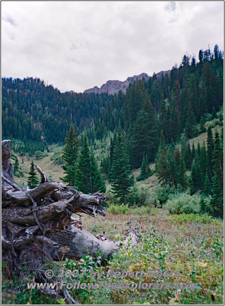 Slide Lake Trail, ID