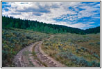 Backroad, Wyoming