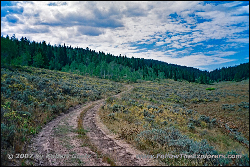 Backroad, WY Backroad, WY