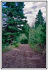 Backroad, WY Backroad, WY