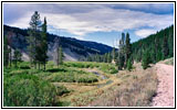 FR10138, Greys River, WY FR10138, Greys River, WY