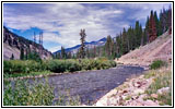 FR10138, Greys River, Wyoming