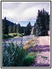 FR10138, Greys River, WY FR10138, Greys River, WY
