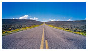 Cottonwood Ryegrass Rd/Rd117, WY