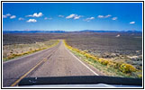 Cottonwood Ryegrass Rd/Rd117, WY