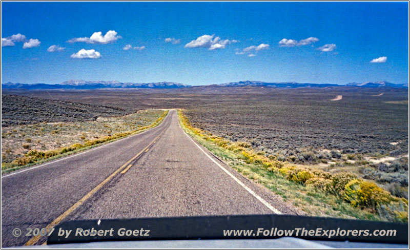 Cottonwood Ryegrass Rd/Rd117, WY