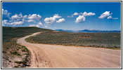 Cottonwood Ryegrass Rd/Rd117, WY