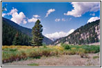 FR10125, WY FR10125, WY