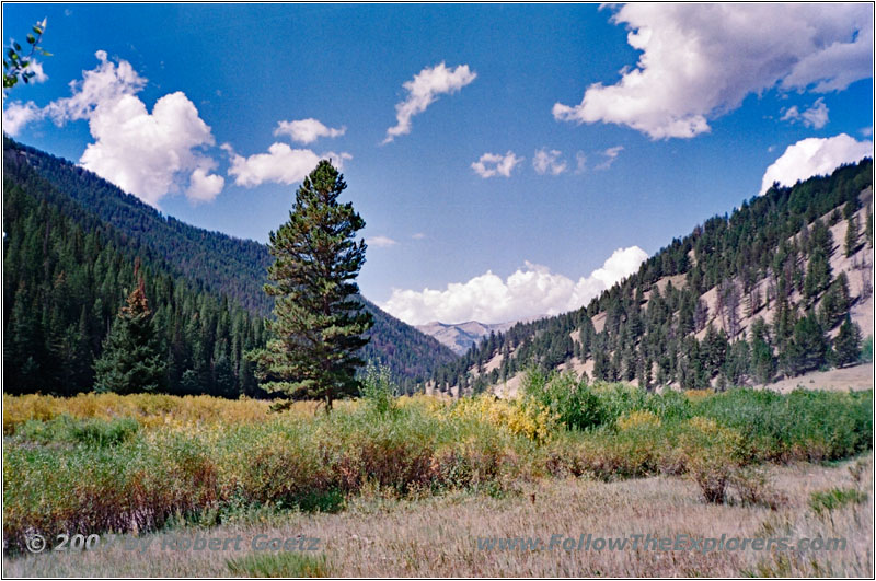 FR10125, WY FR10125, WY