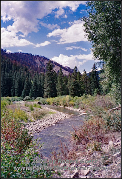 FR10124, Little Greys River, WY